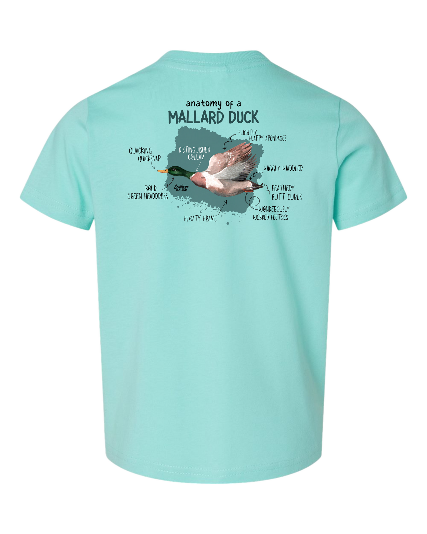 Mallard Duck Anatomy