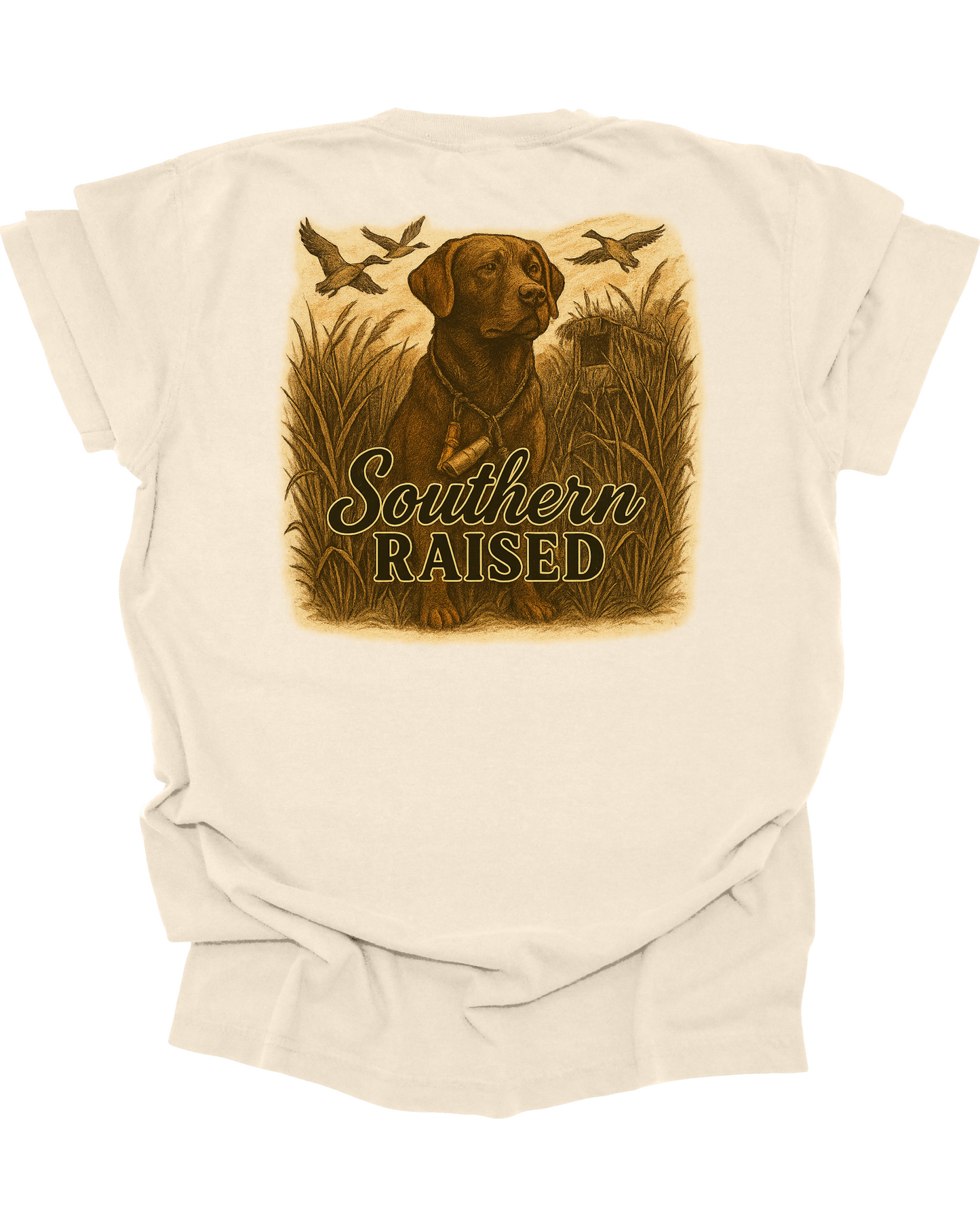 Adult Chocolate Lab Duck Hunt