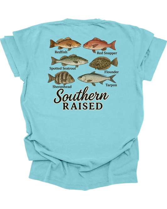 Adult Saltwater Fish