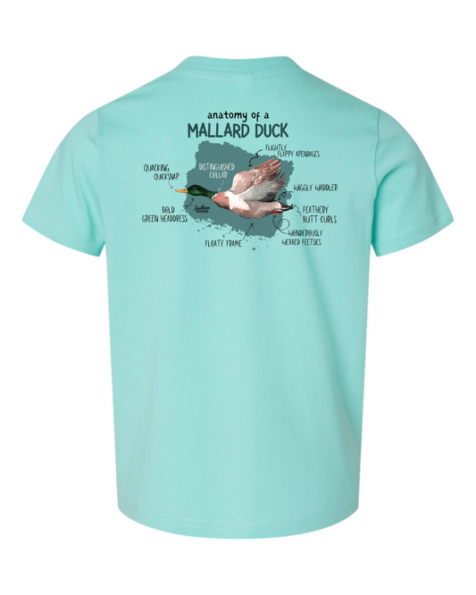 Mallard Duck Anatomy