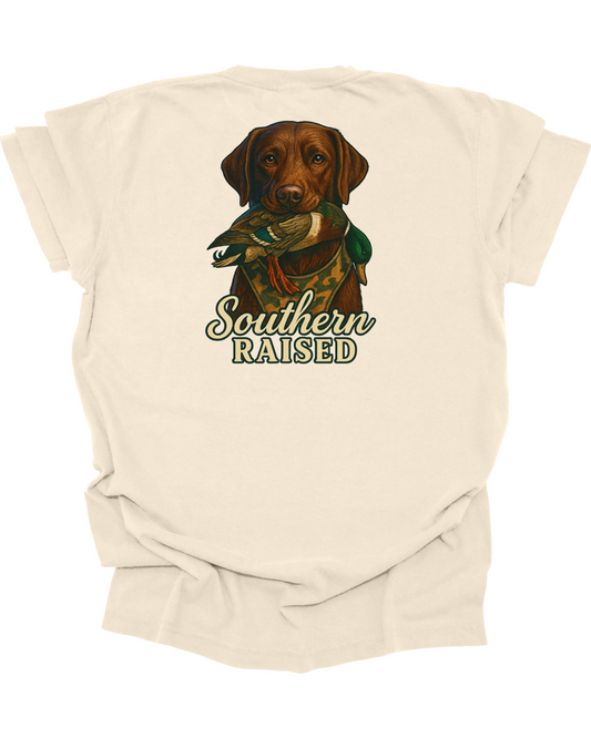 Adult Chocolate Lab Duck